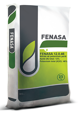 FENASA Nitrate de Potassium Perlé 12.0.46
